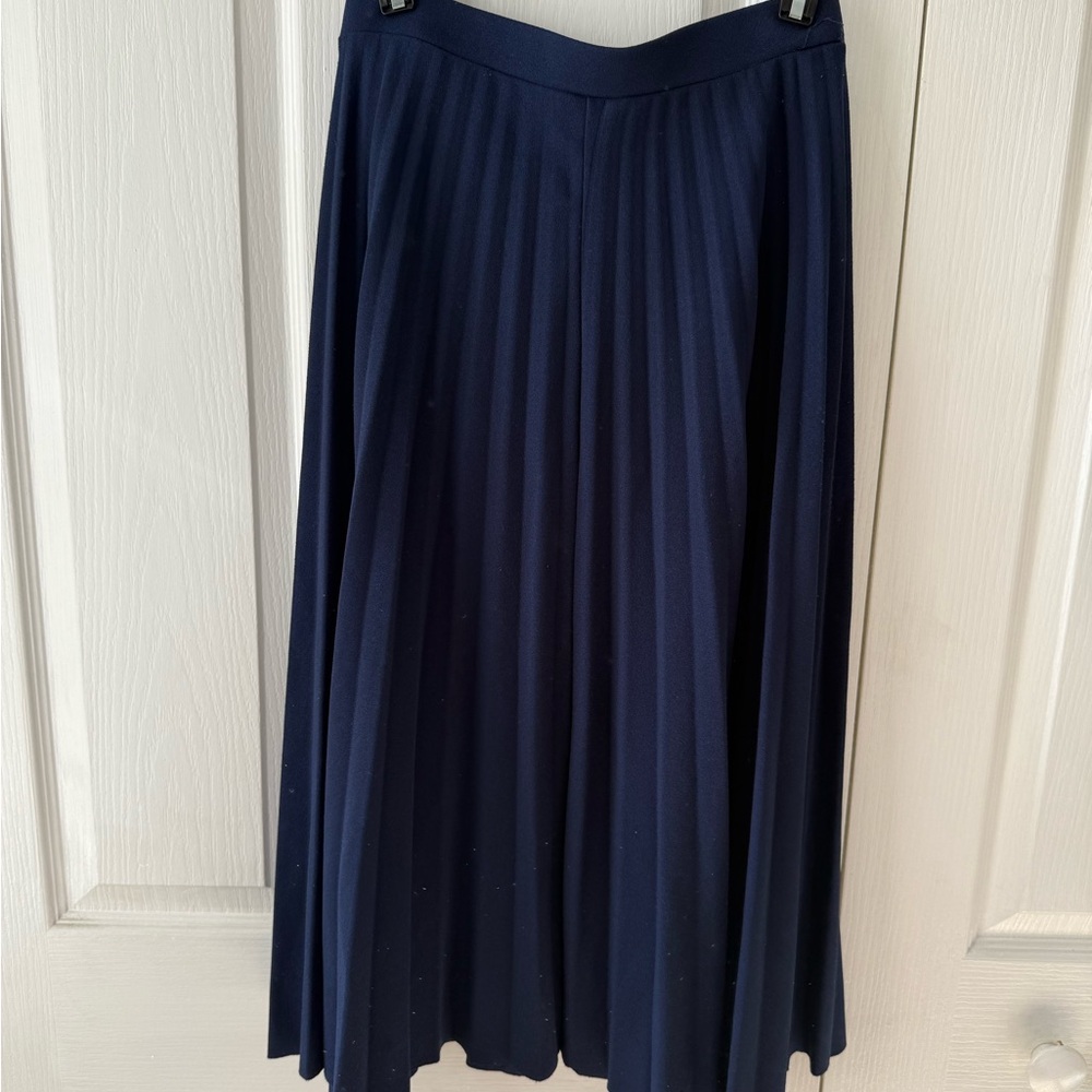 Navy Blue Pleated Skirt - Picture 3 of 3